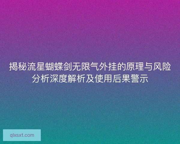 揭秘流星蝴蝶剑无限气外挂的原理与风险分析深度解析及使用后果警示