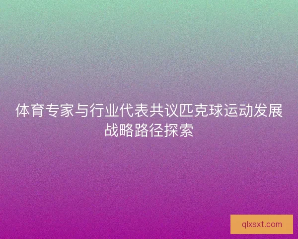 体育专家与行业代表共议匹克球运动发展战略路径探索