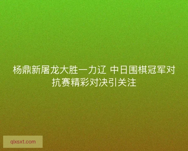 杨鼎新屠龙大胜一力辽 中日围棋冠军对抗赛精彩对决引关注